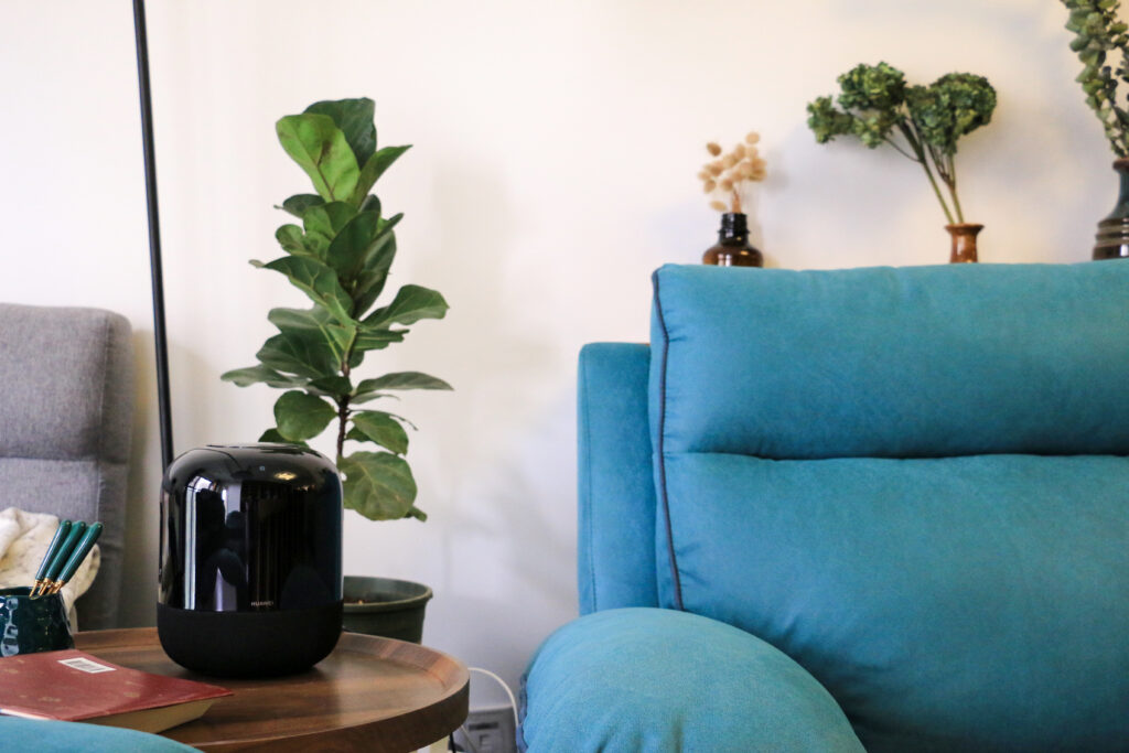 霍亂時期的愛情-此間設計